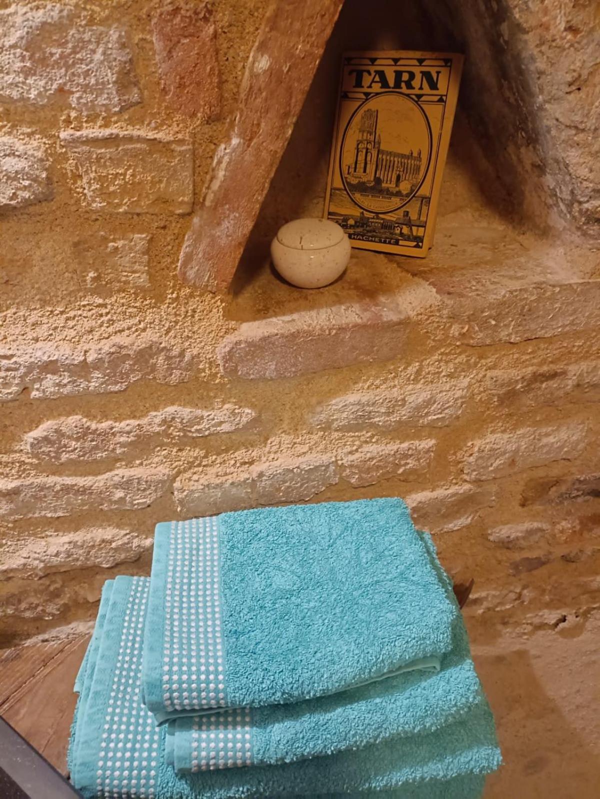 Bed and Breakfast La Lauze Et L'Anguille Gaillac Exterior foto